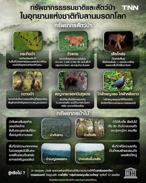 BENZJICYJ's tweet photo. #Saveทับลาน #ทับลาน

อุทยานฯทับลาน มีเนื้อที่ประมาณ 1,387,375 ไร่ หรือ 2,235.80 ตารางกิโลเมตร นับเป็นอุทยานที่มีเนื้อที่ใหญ่เป็นอับดับ 2 ของไทย (รองจากอุทยานแห่งชาติแก่งกระจาน) และมีขนาดใหญ่ที่สุดในภาคอีสาน ถือเป็น “ป่าลุ่มต่ำ” ที่มีความสมบูรณ์มาก และมีสัตว์ป่าหายากที่ใกล้สูญพันธุ์จำนวนมากอาศัยอยู่

อุทยานฯทับลาน มี “ป่าลาน” ซึ่งเป็นป่าผลัดใบที่มีต้นลานขึ้นอยู่เป็นจำนวนมาก “ป่าลานขนาดใหญ่ผืนสุดท้ายของประเทศไทย”

จากการลงชื่อคัดค้าน
ไม่เห็นด้วย : 842,570 คน
เห็นด้วย : 34,798 คน

คนจำนวนหนึ่งล้านเสียงกำลังจะแพ้คนเพียงสามหมื่นกว่าคนและตอนนี้รัฐบาลชุดปัจจุบันกำลังจะอนุมัติหั่นพื้นที่ป่าอุทยานฯ เป็นพื้นที่ ส.ป.ก. จะทำให้พื้นที่ป่าหายไปกว่า 155,865 ไร่ ซึ่งเยอะมาก ๆ

อยากให้ทุกคนช่วยกันรี + โพส กระจายข่าวนี้หน่อยค่ะ ไม่อยากให้เรื่องนี้เงียบเลย🙏🏻