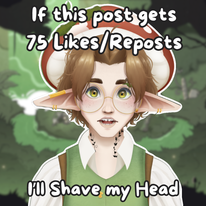 KTrufflesVT's tweet photo. Bald Truffles would be a crime against nature...

 If this post can get 75 likes/reposts and I shall commit the crime myself 💚🔁
(,,•᷄﹏•᷅,,) https://t.co/whoxOdloWo