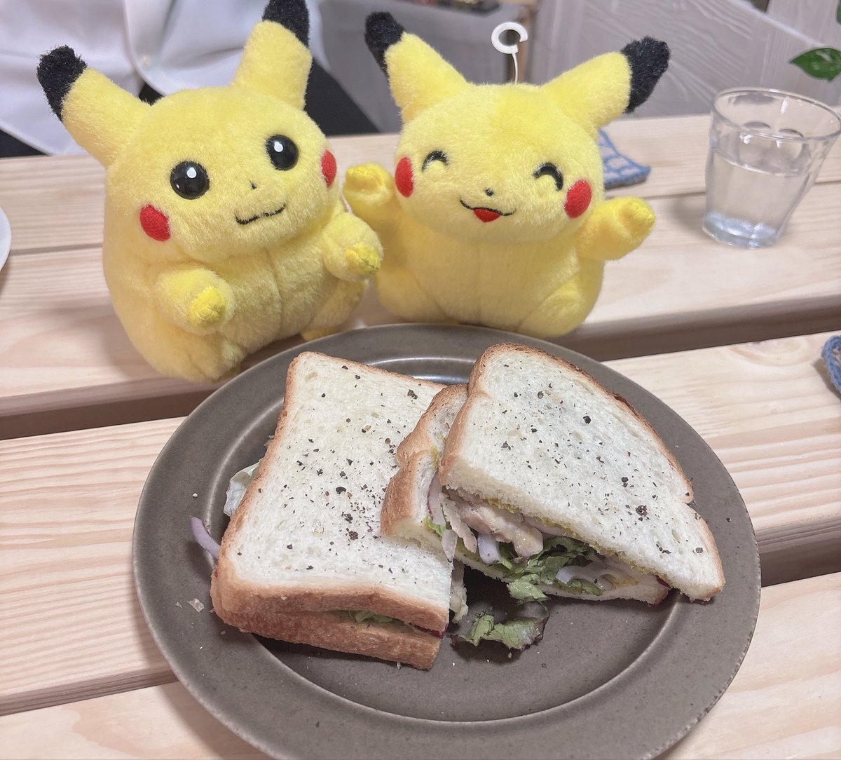 1007sayuri's tweet photo. サメのいるカフェでモーニング☕*°
ウーパールーパーもいてめちゃくちゃ可愛い💕 https://t.co/0WRi4IMd8b
