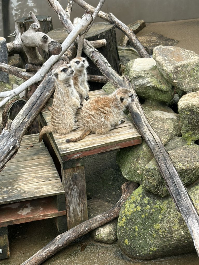 ea_mann's tweet photo. 姪っ子とディズニーきた。夢の国 https://t.co/8m31wAhSba