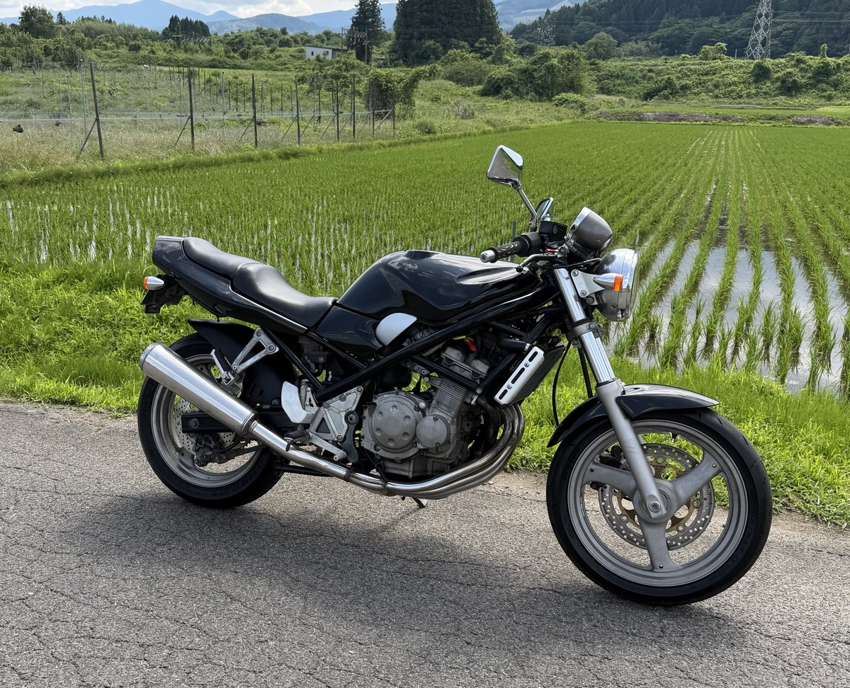 spirits0211's tweet photo. 2026年6月20日（土）
予定外の購入　スズキバンディット250 1990年代の良きバイクを思わぬ購入しました。
オイル交換とオイルフィルターを交換して試乗クラッチの張りが悪くクラッチが入らずエンスト。
調整して復活したがアイドリングが高回転2000回転はあるみたいで1500回転まで下がる前にエンスト。 https://t.co/KQ5hwrxdtq