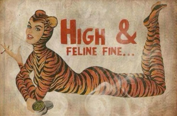 legitimatetiger's tweet photo. smoked a blunt and spent 3 hours performing relaxing sensory self-care on myself https://t.co/UmuRGCi37t