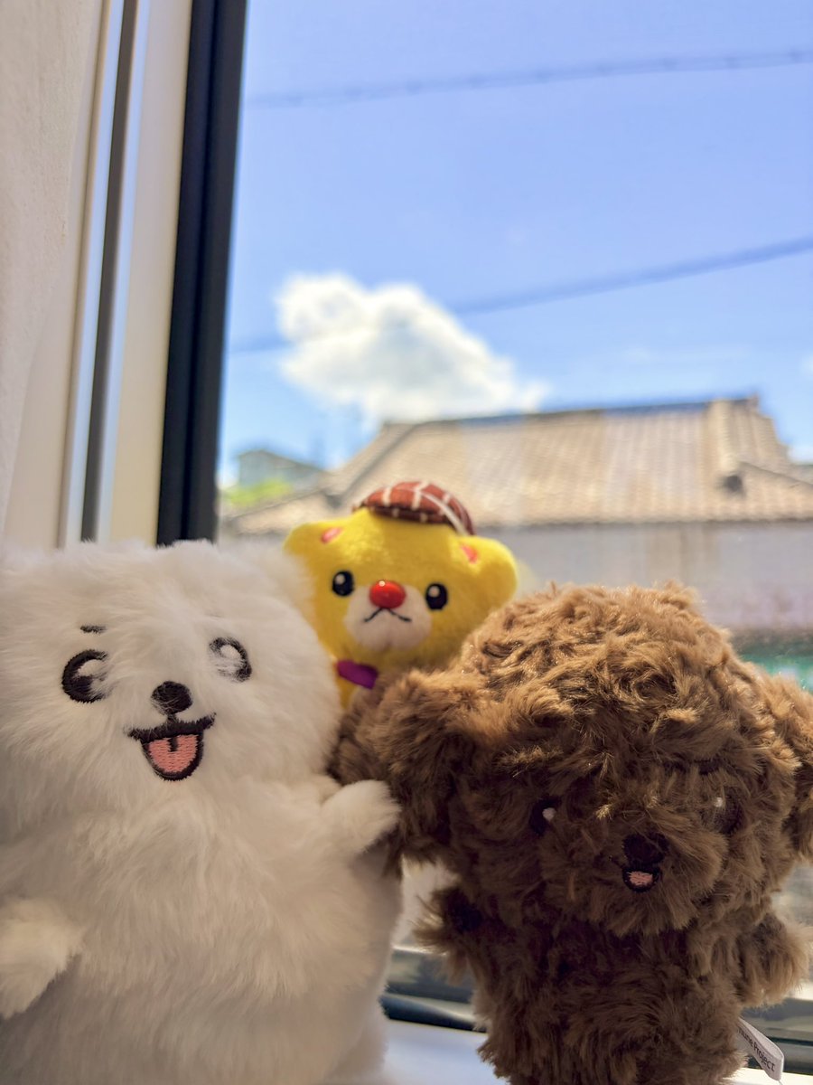 Chi6g's tweet photo. あっという間すぎる最高の大阪の思い出をありがとうございました🎉
そして今日はさすがですありがとうございます☀️
名古屋へゆっくり向かってます！ https://t.co/xndhYPLi9p