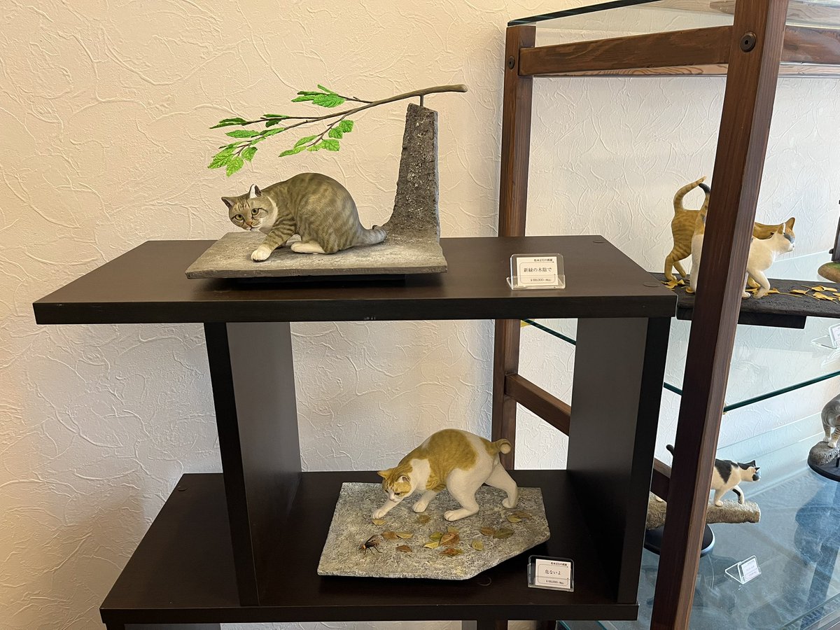room_kawagoe's tweet photo. 「松本正行の部屋」
前半最終日。午後から作家在廊します。楽しい猫談義をしにお立ち寄りください。 https://t.co/JUzn7l9IiN