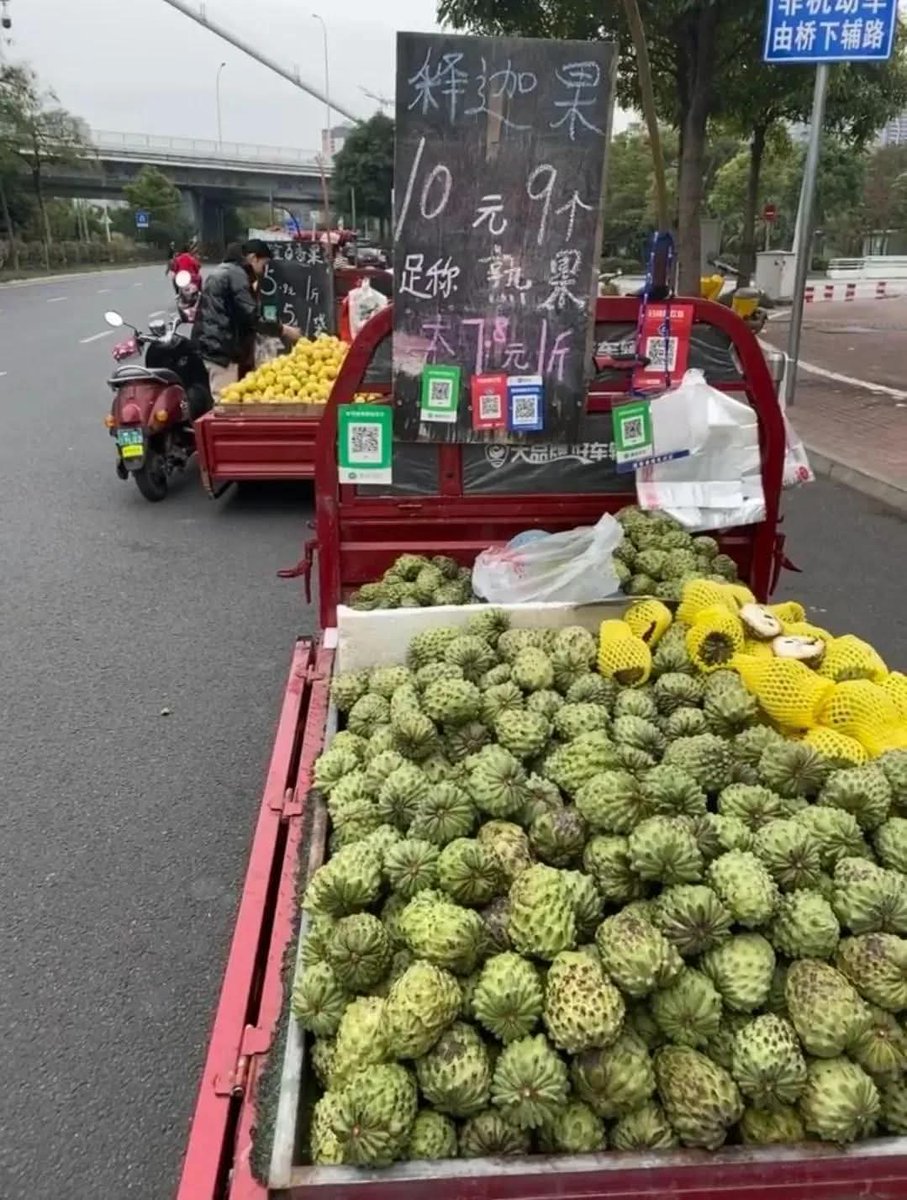newbolt1402's tweet photo. @ryojames 不是已經送了嗎？
技術和植株都是他們送的！
不只造成了台灣農民的傷害，
也卷死了中國的農民。
這種就算0關稅你也拼不過，
這種結果，
簡稱：
自產自銷自作自售。 https://t.co/XN1ur5HkeC
