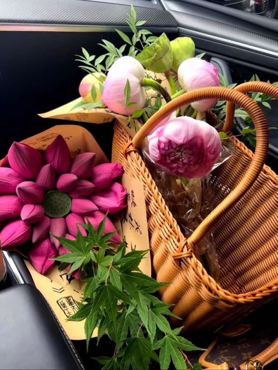TangTan26890965's tweet photo. 今天是 #中国🇨🇳 #二十四节气 的 #夏至
天至中和，地至平和，人至清和。
花開半夏，美好始長。 
#夏至安康 https://t.co/K9872vsSti
