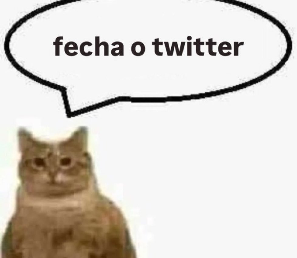 gatinarios's tweet photo. https://t.co/X0j3x1Gx9C