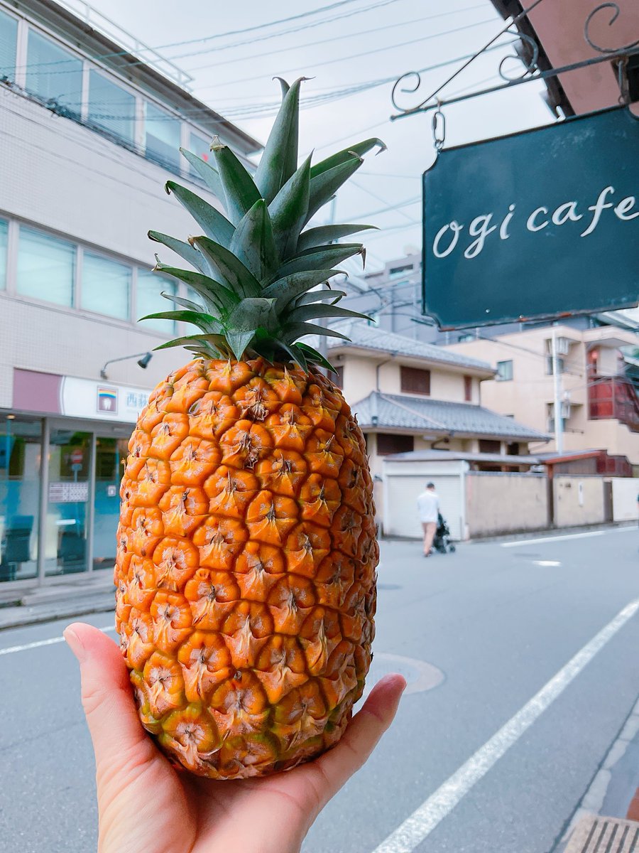 cafe_ogi's tweet photo. おはようございます☺︎
沖縄石垣島産サンドルチェ🍍なんと糖度19℃甘い！
☔️止みましたね
本日もご来店お待ちしています✨
#ogicafe  #フルーツサンド #サンドルチェ #西荻窪カフェ #中央線カフェ巡り #西荻窪グルメ https://t.co/mmWGFalCCC
