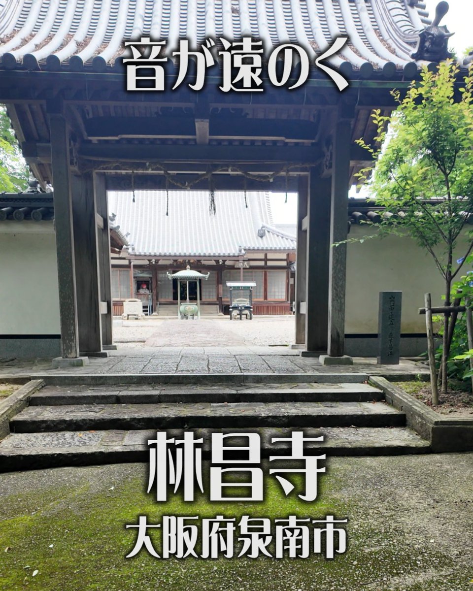 arakansingle's tweet photo. 【新作YouTube Shorts公開】
大阪府泉南市の林昌寺を訪れました。

山門をくぐると、周囲の喧騒が遠のき、
静かな時間が流れる癒やしの古刹。
落ち着いた境内には穏やかな空気が漂い、
心が自然と安らぎます。

忙しい日常を少し離れて、
静寂に包まれるひとときを感じてみませんか。

ぜひご覧ください。
https://t.co/7n8UK3Cc3O

#YouTubeShorts #寺院巡り