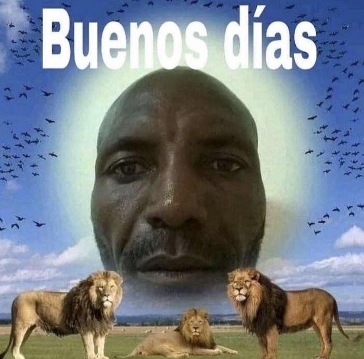 DestinyClubOG's tweet photo. Buenos Días Grupo https://t.co/KF45qp6XIr