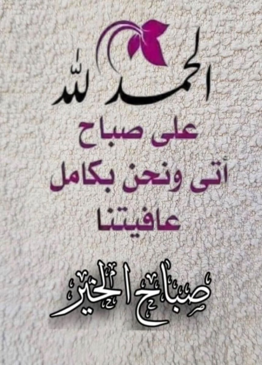 wt3qp's tweet photo. @hoodaamer2024 https://t.co/wpUmMJ0RZd