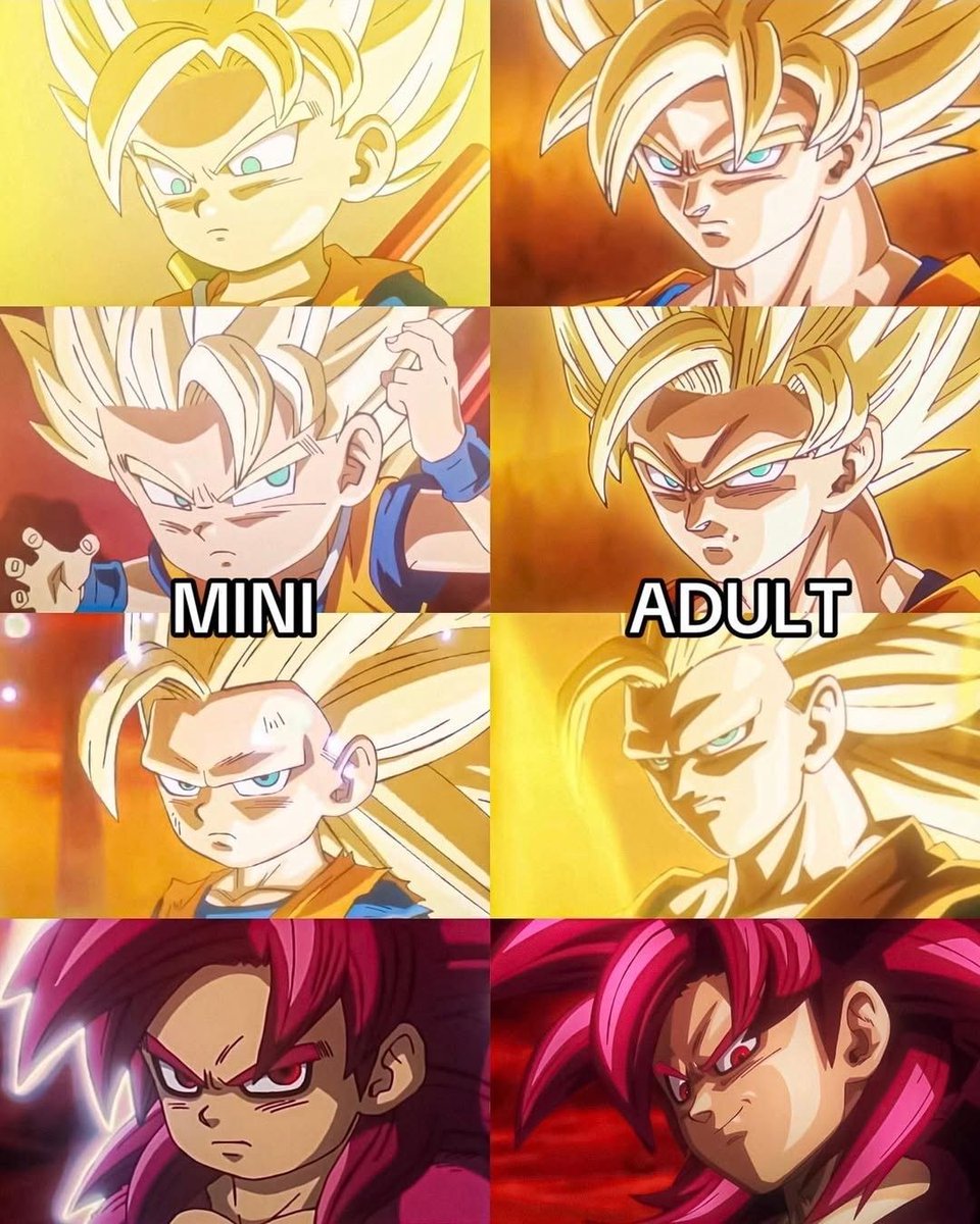Dragon Ball Daily tweet media