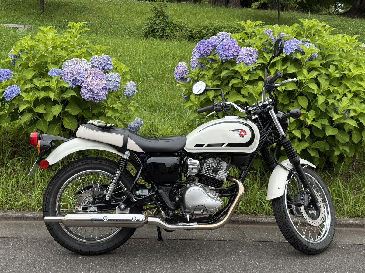 kikuling's tweet photo. 昨日の代車KAWASAKI W230のラストラン。
紫陽花と。
街乗りトコトコツーリングには最適！
高速は厳しそう。
＃W230
#紫陽花͛ 
＃KAWASAKI
＃単気筒 https://t.co/Rf0q3hRJDM