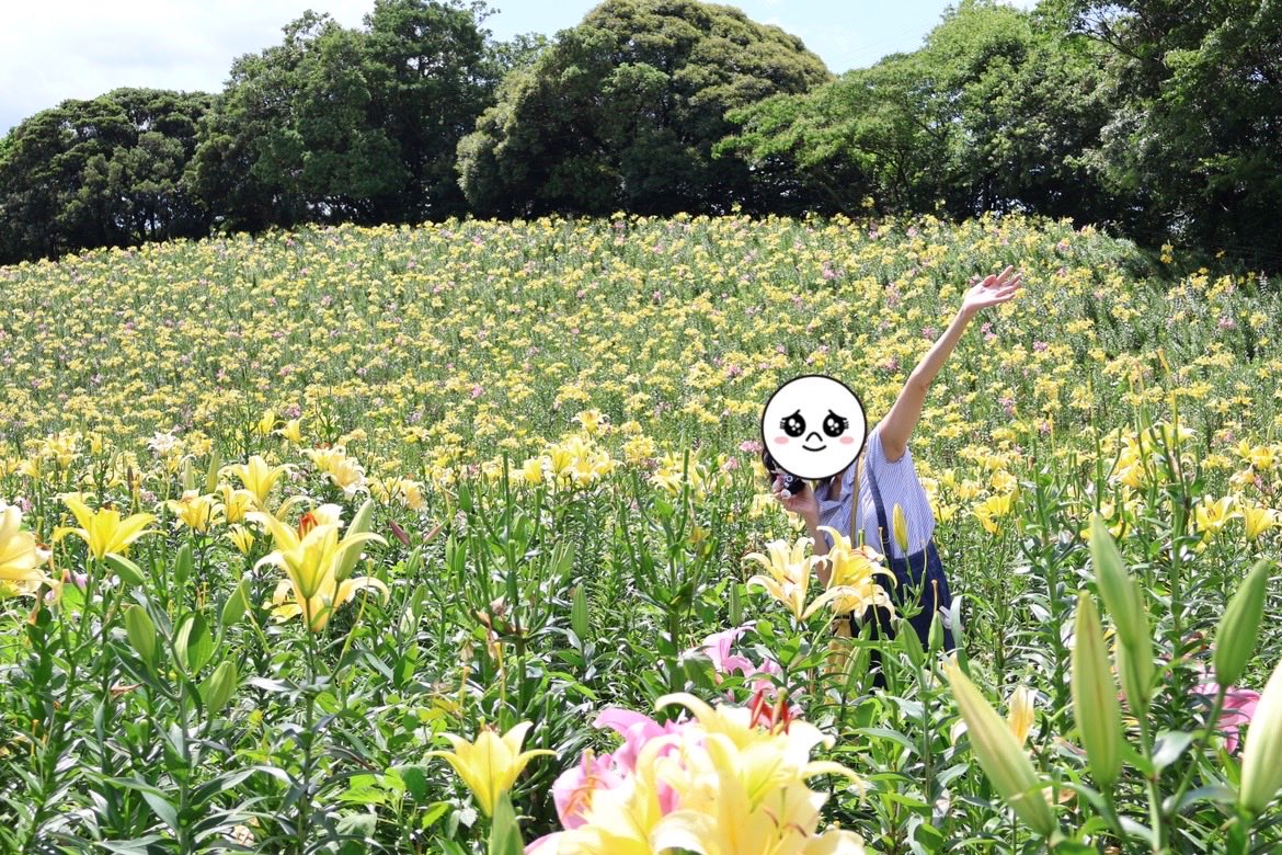 kiyon0616's tweet photo. 今日は、🎬あの花の世界へ。

お天気も良く青空に、一面の百合が映えてるぅ
綺麗〜っ‼️
そして園内は百合の良い香りが♡
映画のワンシーンが思い浮かびます。
紫陽花も見頃でした

静岡と言えば…さわやかのハンバーグ😋
勿論げんこつで。美味し。

#可睡ゆりの園
#あの花
#あの星
#BROS1991 https://t.co/YxSwsEoYDr