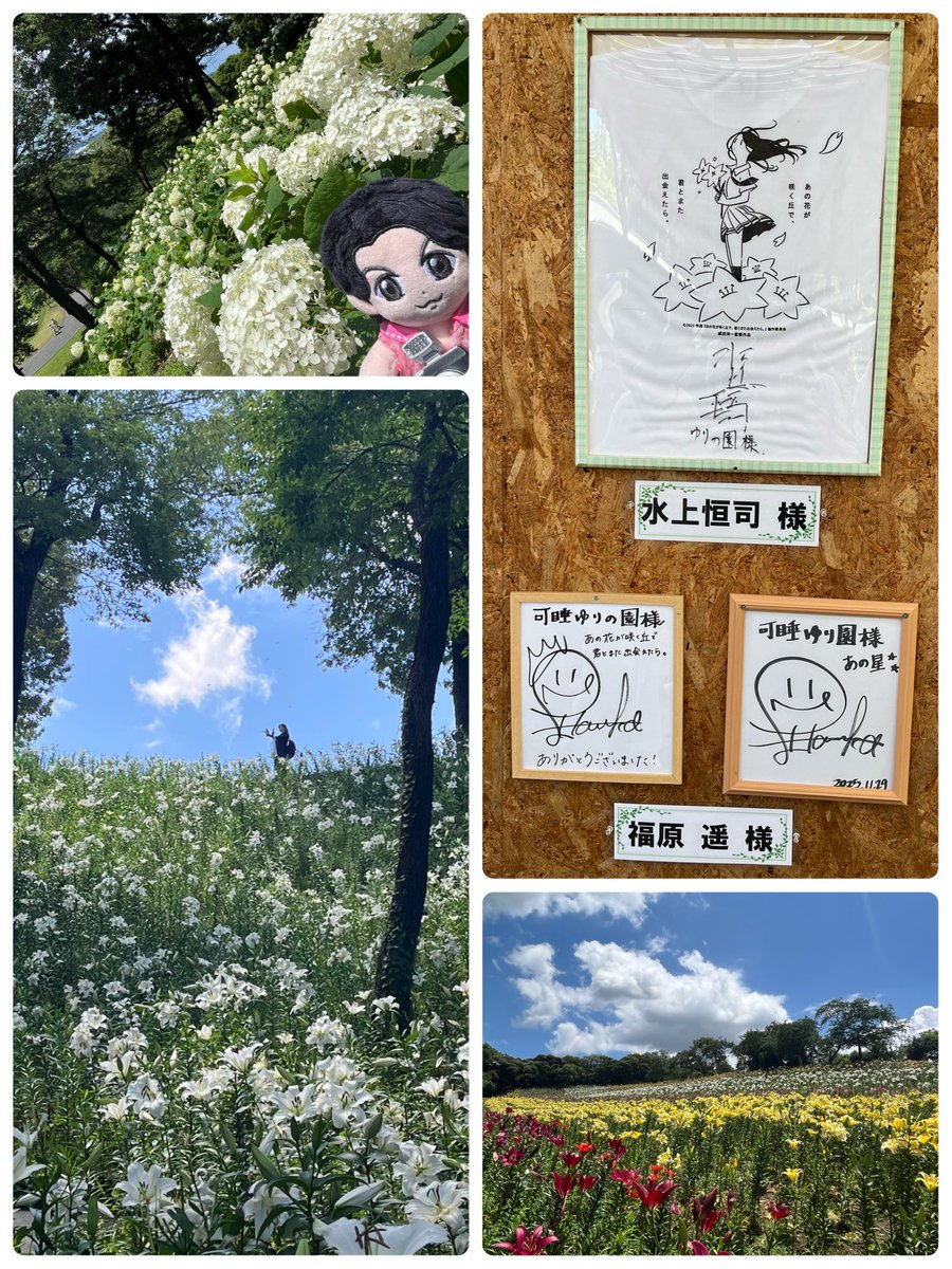 kiyon0616's tweet photo. 今日は、🎬あの花の世界へ。

お天気も良く青空に、一面の百合が映えてるぅ
綺麗〜っ‼️
そして園内は百合の良い香りが♡
映画のワンシーンが思い浮かびます。
紫陽花も見頃でした

静岡と言えば…さわやかのハンバーグ😋
勿論げんこつで。美味し。

#可睡ゆりの園
#あの花
#あの星
#BROS1991 https://t.co/YxSwsEoYDr