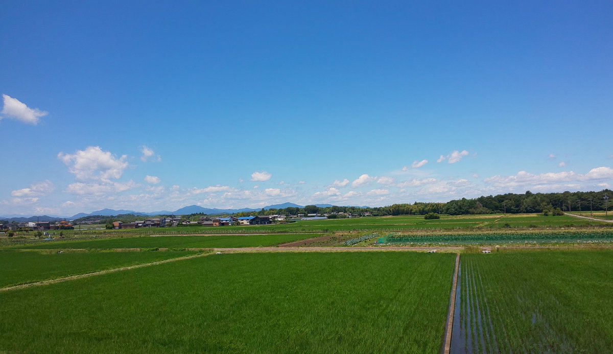 mlmlrusmel's tweet photo. 夏至を迎え今日は夏の匂いがする、 https://t.co/QCcB81gE35
