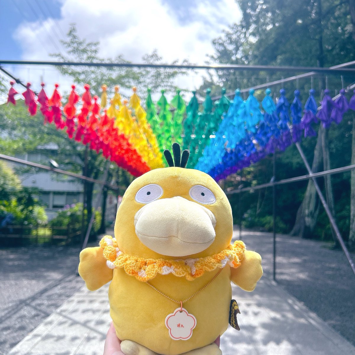 koda_tamagochan's tweet photo. 晴れた☀️ https://t.co/iwZCXRSLyO