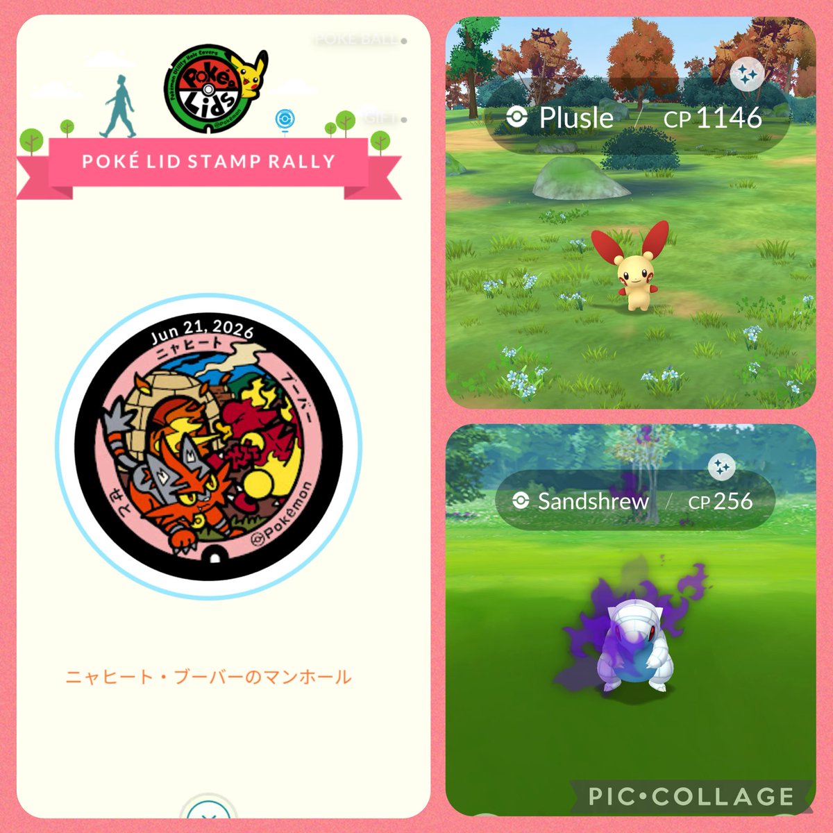 SmileThippy's tweet photo. (ꕤ ॑꒳ ॑*)𝕋𝕙𝕒𝕟𝕜 𝕪𝕠𝕦❁⃘*.ﾟ 🎁 
#ShinyPlusle
#ShinyShadowSandshrew
#PokemonGO🫶🏻🧢 https://t.co/ACQcJFwZYx