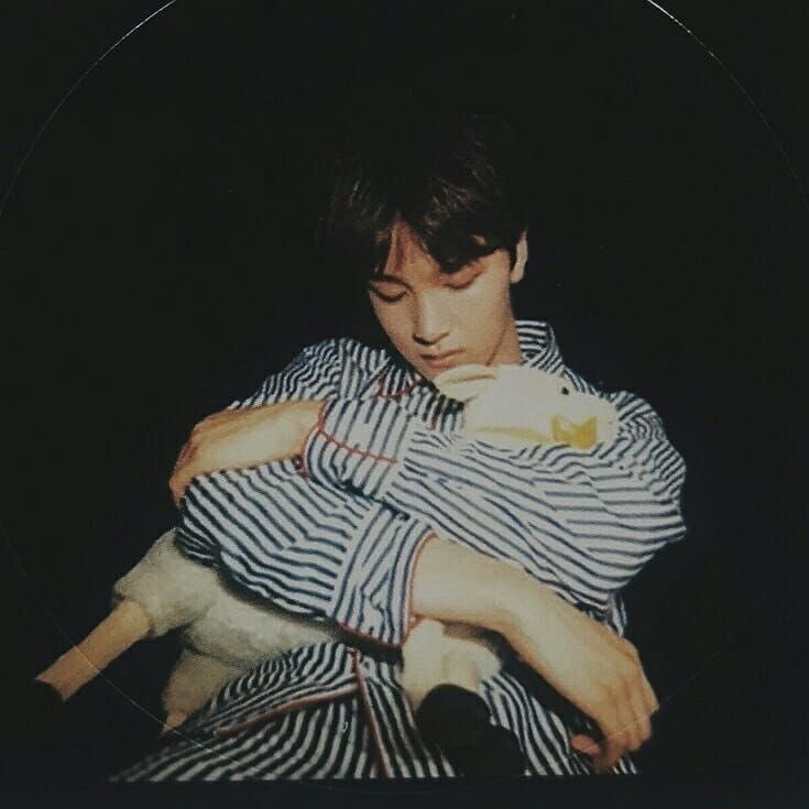 kuemahae's tweet photo. 🐻🐯🐑 https://t.co/zrVBhv0sXc