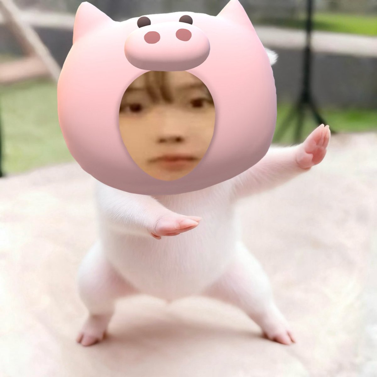yu_jm411's tweet photo. https://t.co/TXAmdAhn6i