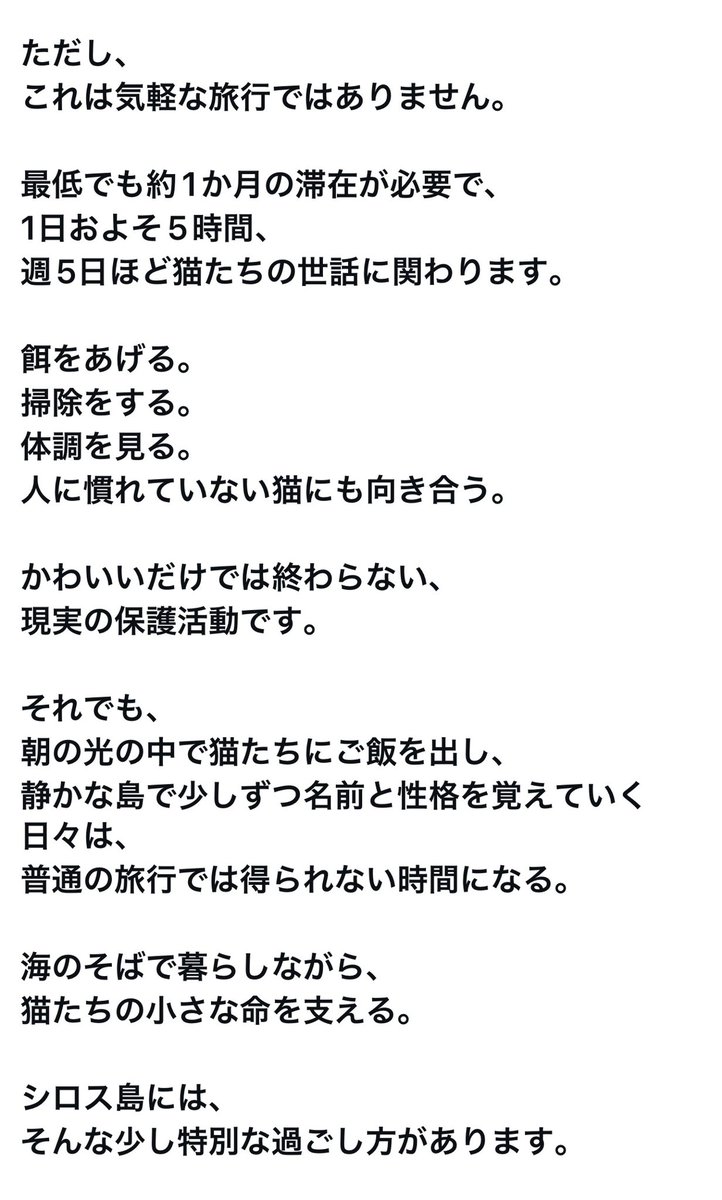 yoshitomo nara / 奈良美智 tweet media