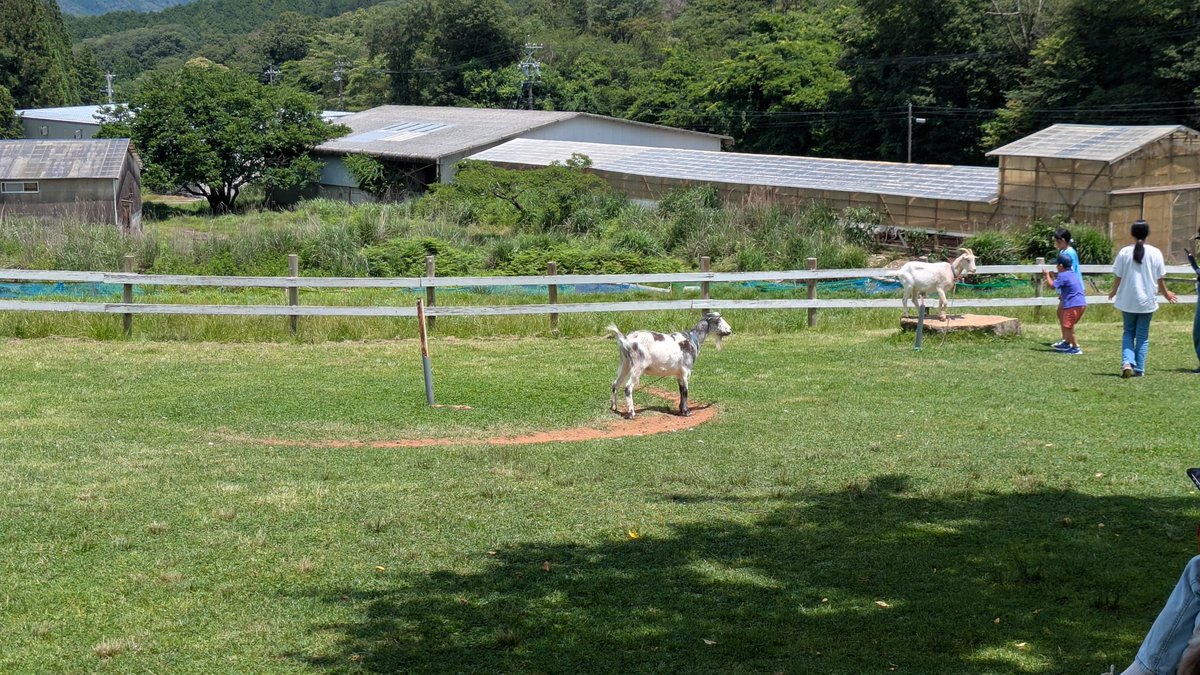 t_kamono's tweet photo. 愛知県新城市 ふれあい牧場 高原ハウス に到着。

うさぎさんとふれあいたかったけど想像の10倍くらい人がいるので断念。
ご飯あげたりもできるんだけど、休日は朝一じゃないとみんなお腹いっぱいになってそう。 https://t.co/Z88vo51Am0