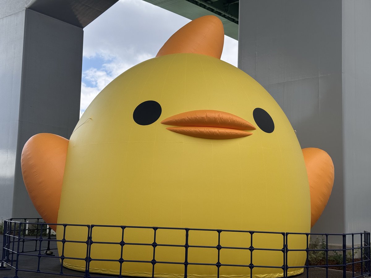 流石のデカさ( .˙∠)ギガントぴよりん