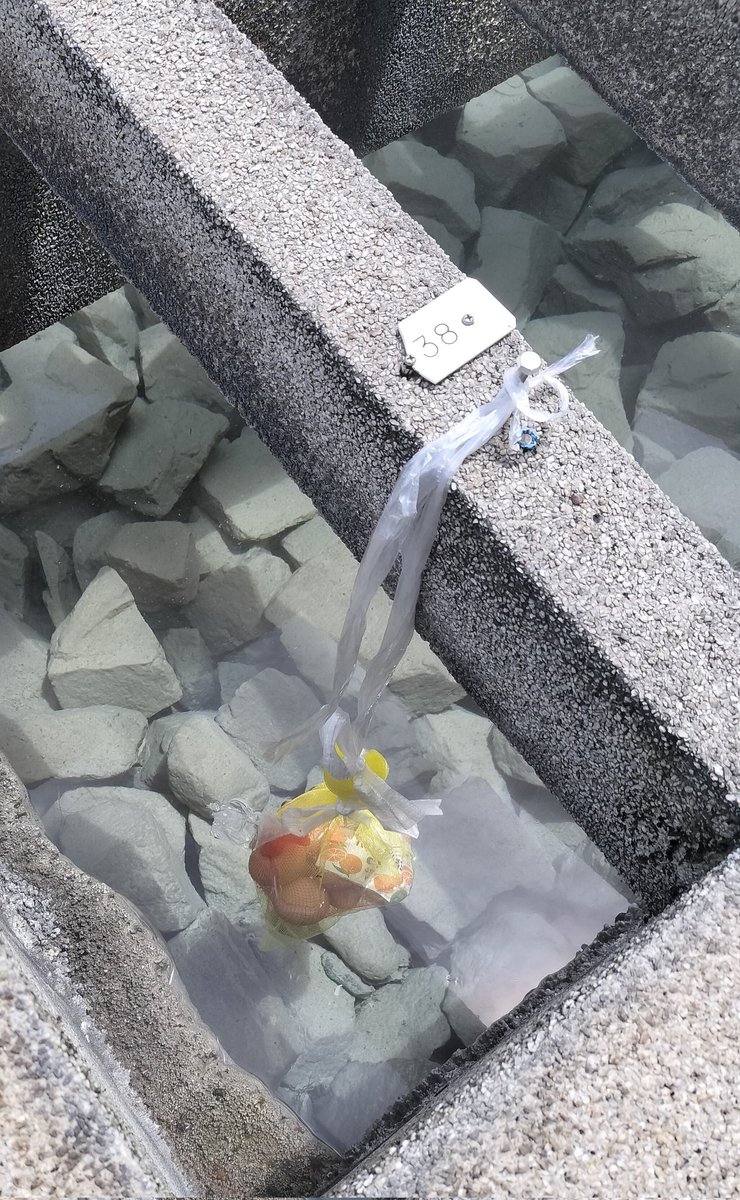 tibitimy's tweet photo. 湯村温泉にて……
温泉のお湯で♨️
ゆで卵作ったよ🥚 https://t.co/QwZ1xh5AT1