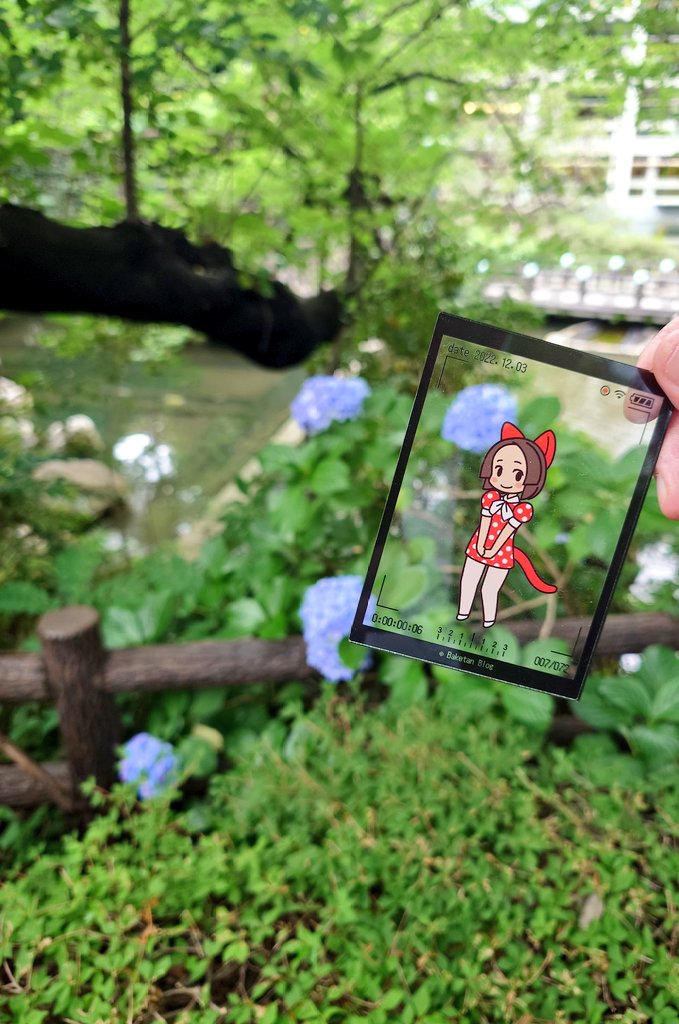RETAKEP's tweet photo. 東郷神社お散歩ちゅ https://t.co/yTWvn1m6ZB