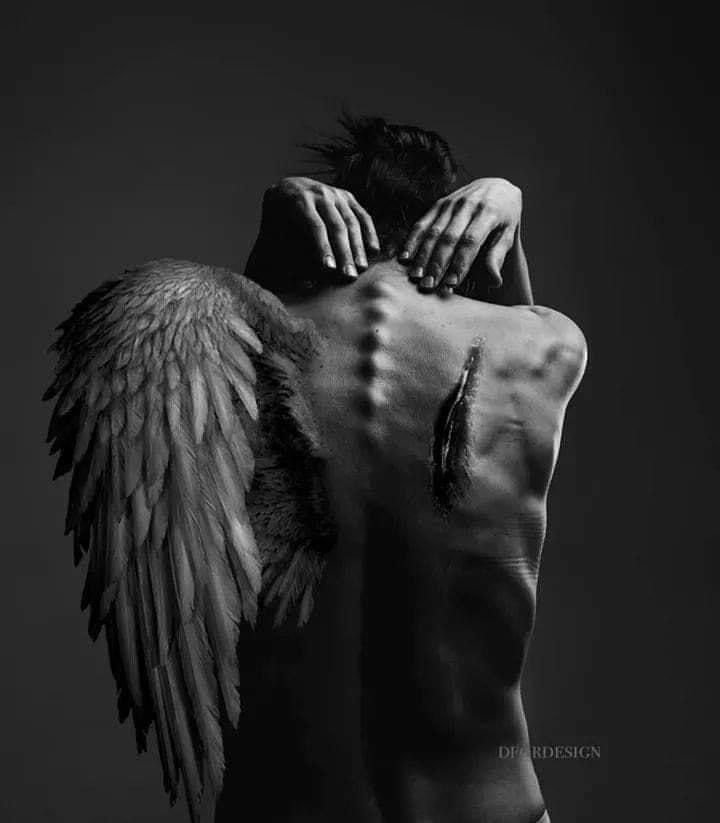 augusrodri3's tweet photo. "Vuela con el ala rota, llevando 
  el corazón en un hilo; sin olvidar
  que tu destino tiene para ti un
  alma libre."

                                   - Ginesa Alcaraz Lorente https://t.co/d6pW2xSH12