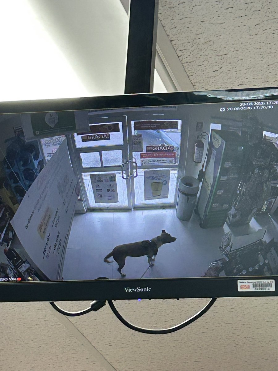 aleeeeahumada's tweet photo. rateros del oxxo: https://t.co/JbGISzVYiB