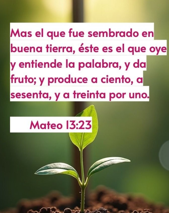 Carmen254087919's tweet photo. Jesús es el sembrador, la buena semilla es la palabra de Dios, toda persona es la tierra; el Señor  desea que seamos buena tierra; que escucha en su corazón la buena palabra de Dios y la pone en práctica para vivir con plenitud, con buenos frutos: https://t.co/OySQiZ26Nm