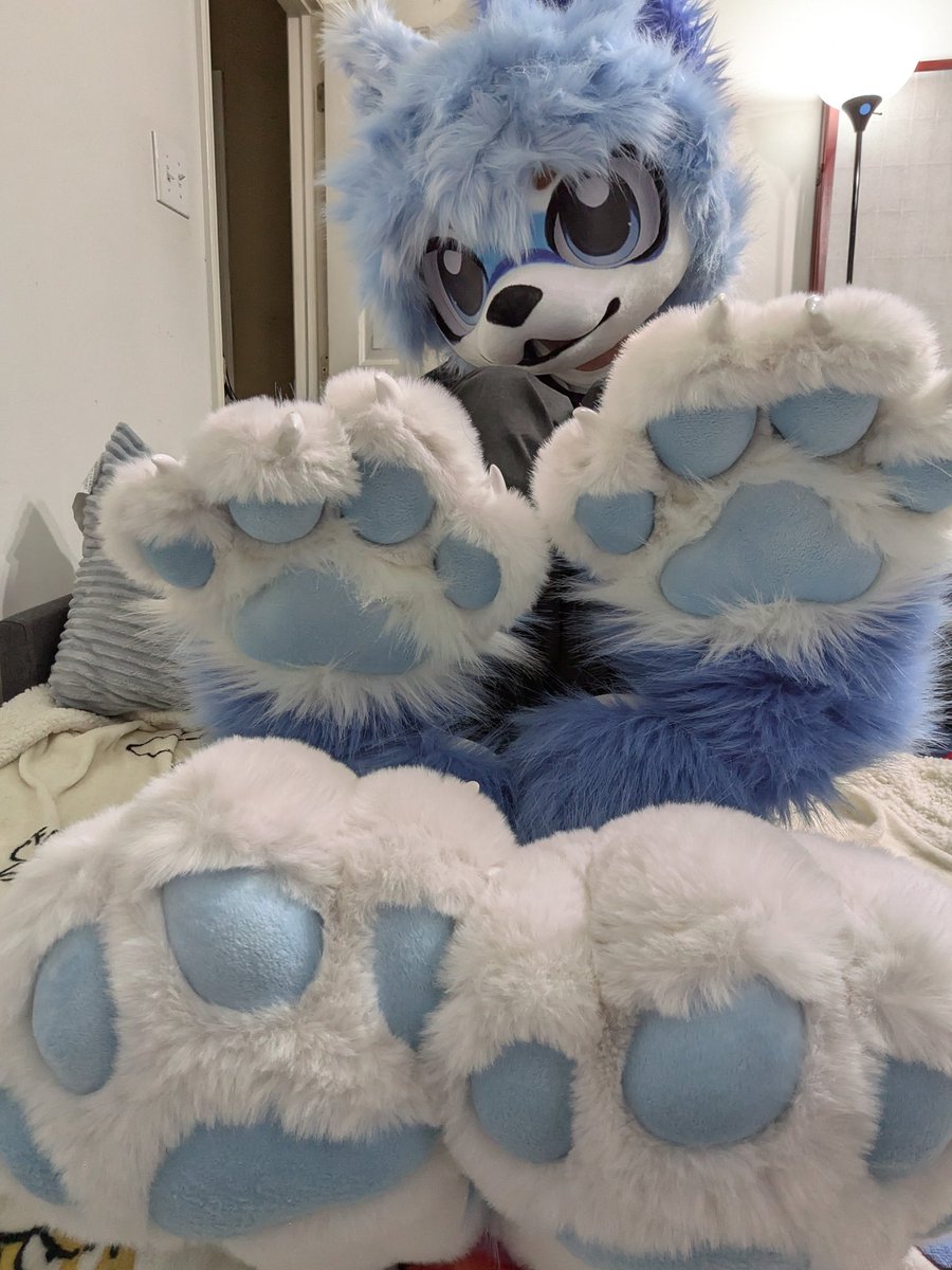 Qloshai's tweet photo. I'm all paws 🐾 https://t.co/cV0cJ03Xku