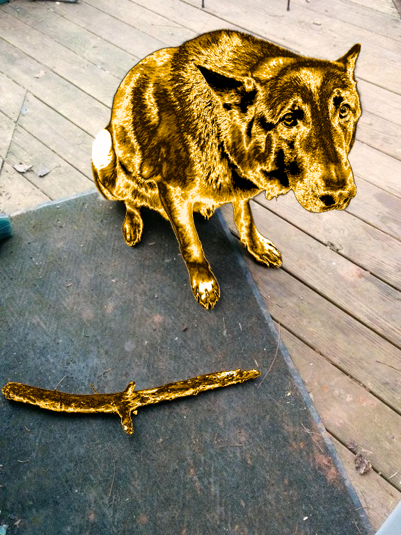 midas_toucher's tweet photo. how it feels to play fetch with my dog https://t.co/totSbiC3al