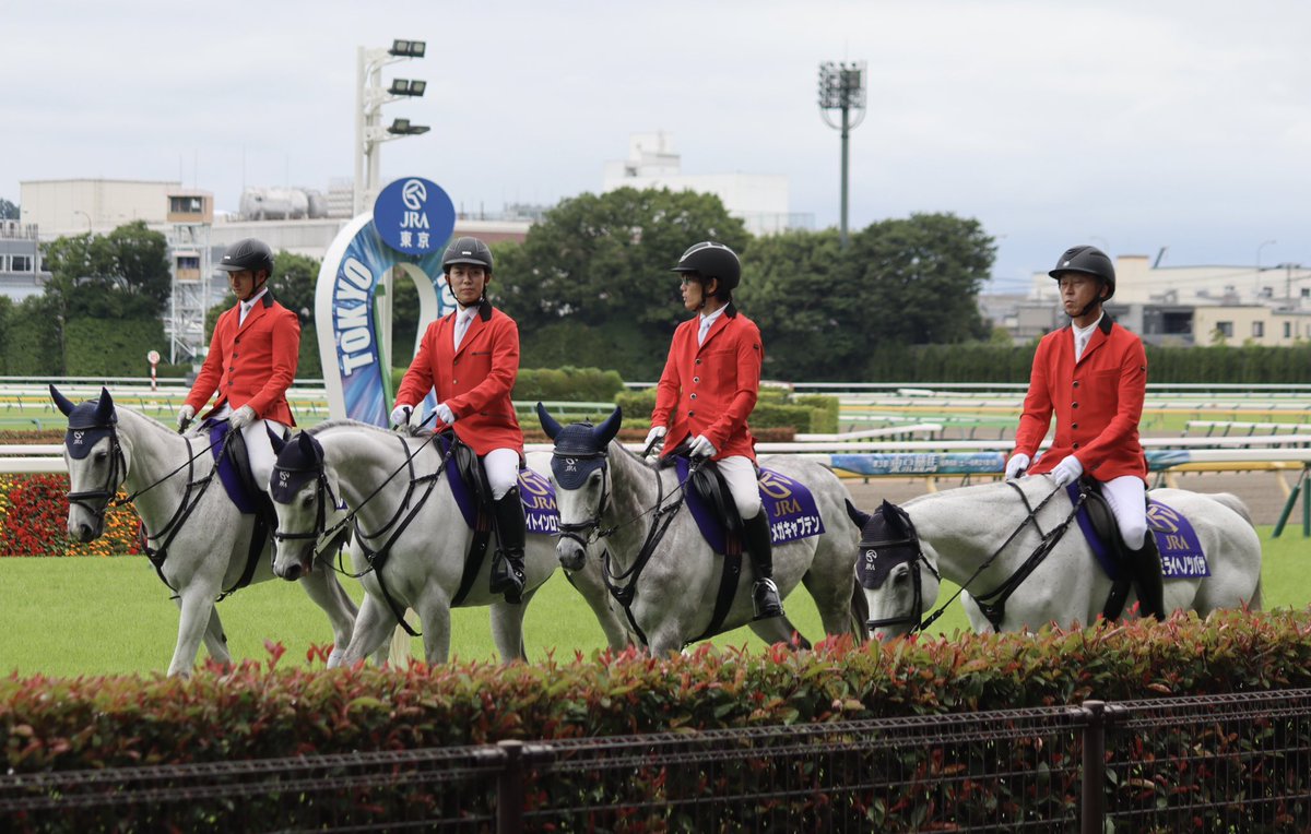 mow_rabbit's tweet photo. 今日の前半の誘導馬さんは、ミライヘノツバサ、オメガキャプテン、サクセスミノル、ナイトインロンドンです。

先週誘導馬デビューしたナイトインロンドンさん、落ちついてお仕事をしています😊

 #東京競馬場
 #誘導馬 https://t.co/yucxU33Deb