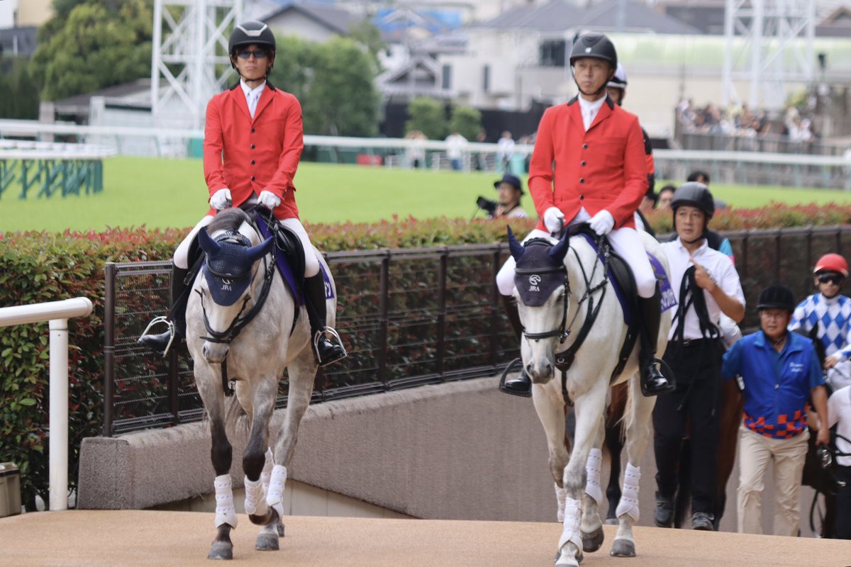 mow_rabbit's tweet photo. 今日の前半の誘導馬さんは、ミライヘノツバサ、オメガキャプテン、サクセスミノル、ナイトインロンドンです。

先週誘導馬デビューしたナイトインロンドンさん、落ちついてお仕事をしています😊

 #東京競馬場
 #誘導馬 https://t.co/yucxU33Deb