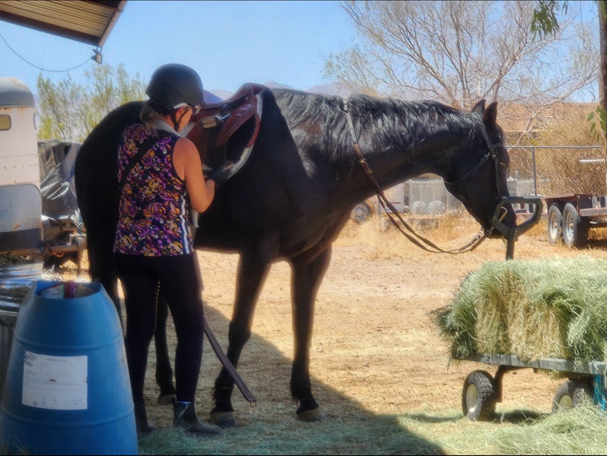 LegendAcres tweet picture