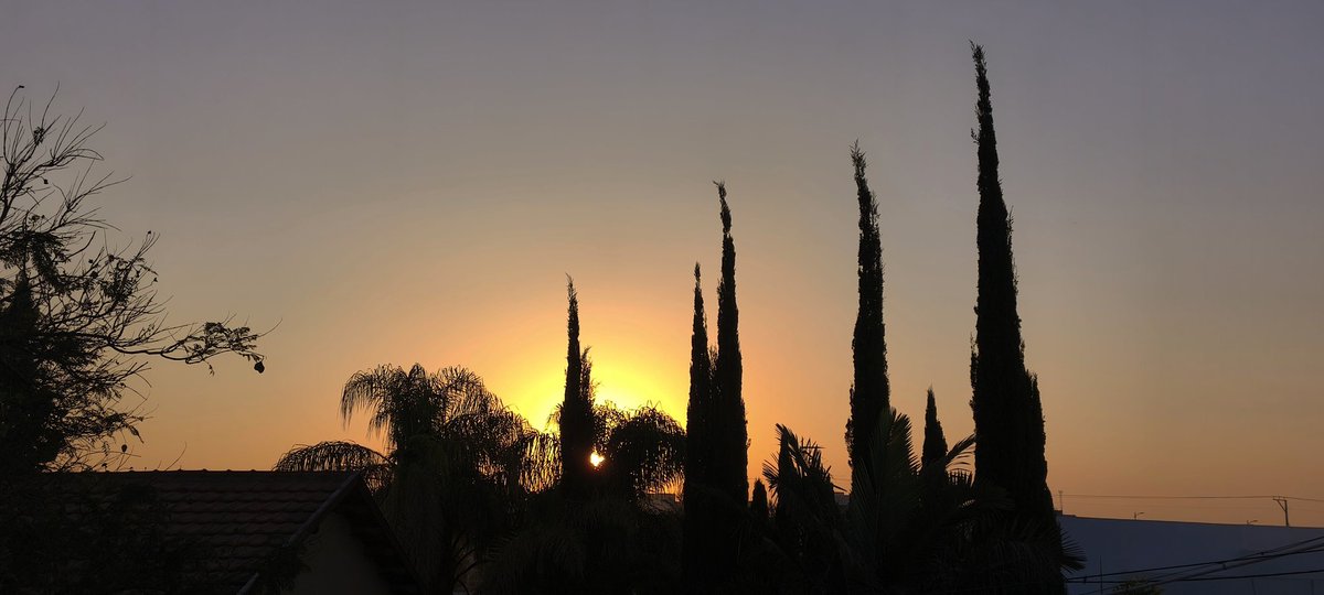 דבורה💚🌳💛🇮🇱 tweet media