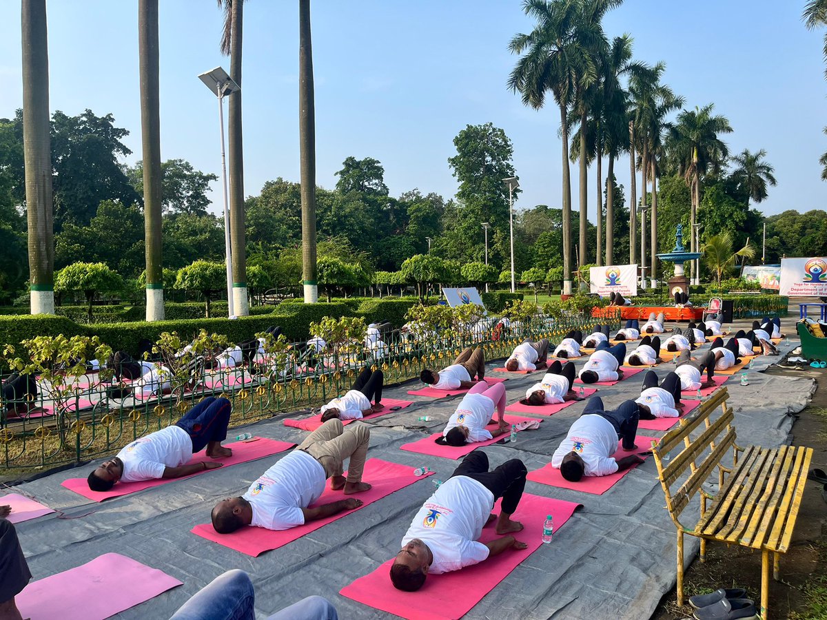 ForestDeptWB's tweet photo. Glimpses of Yoga event today at Eden Gardens, Kolkata. Organised by West Bengal Forest Department. 

#InternationalDayofYoga https://t.co/kD5u9gsVoa