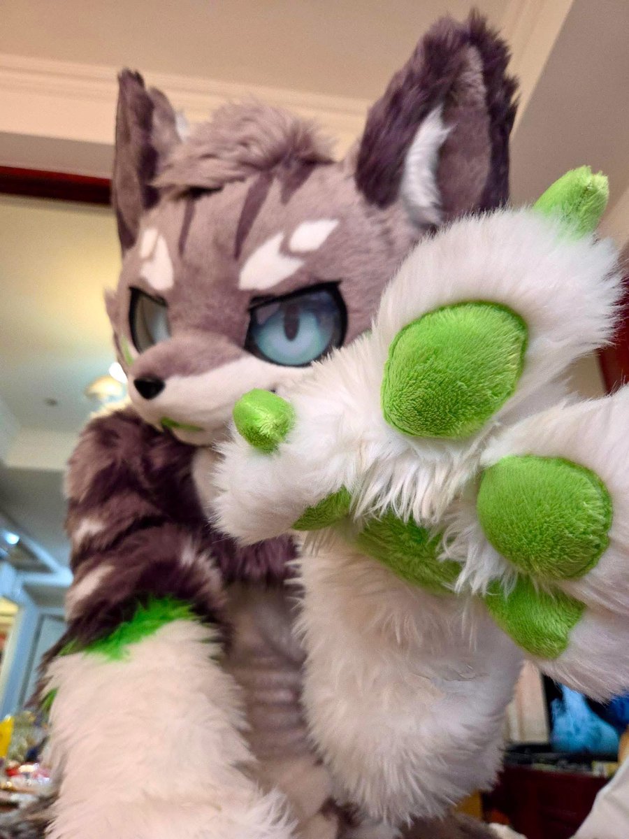 MiNTS0DA's tweet photo. Want to collect some friends 👀💚
#のしかかられたい人いいね