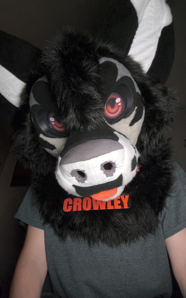 CrowleyMalaMute's tweet photo. Here's some new Fursuit pics of Crowley https://t.co/X09UZ2MXwV
