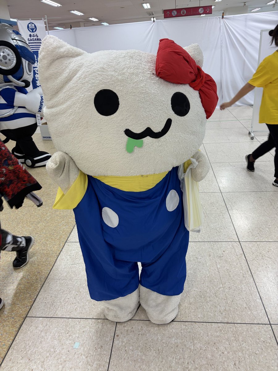 にゃーちゃ、🐈🍵✨ (@nyacha_udonneko) / Posts / X