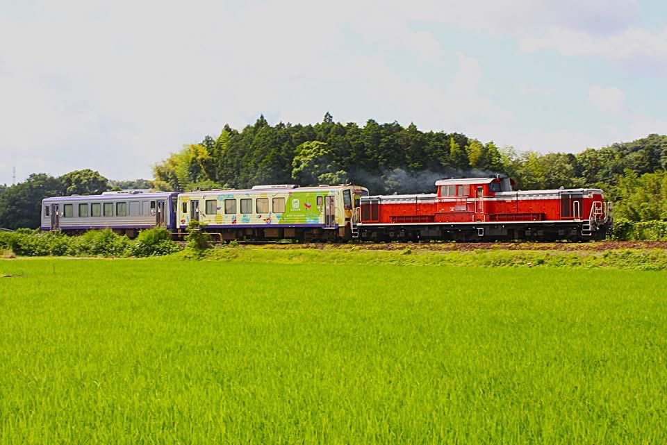 178toki's tweet photo. 「亀山配給」
京都の向日町車庫にて車輪研磨を行う為、お茶ラッピングと関西線色の2両を一気に配給
亀山〜関で撮り、関駅停車中に先回りして、坊谷トンネルで撮ってさっさと帰宅、さ、チュニジア戦に備えよう🤘
休日にネタ列車運転ってことで沿線は賑わっておりました✊

#亀山配給 https://t.co/tY5dPTayGF