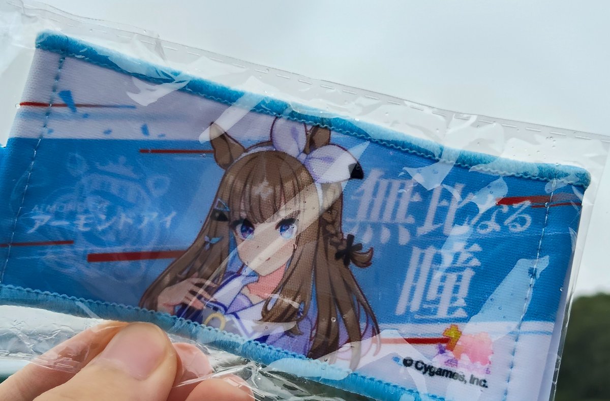やっとゲットしたぞー