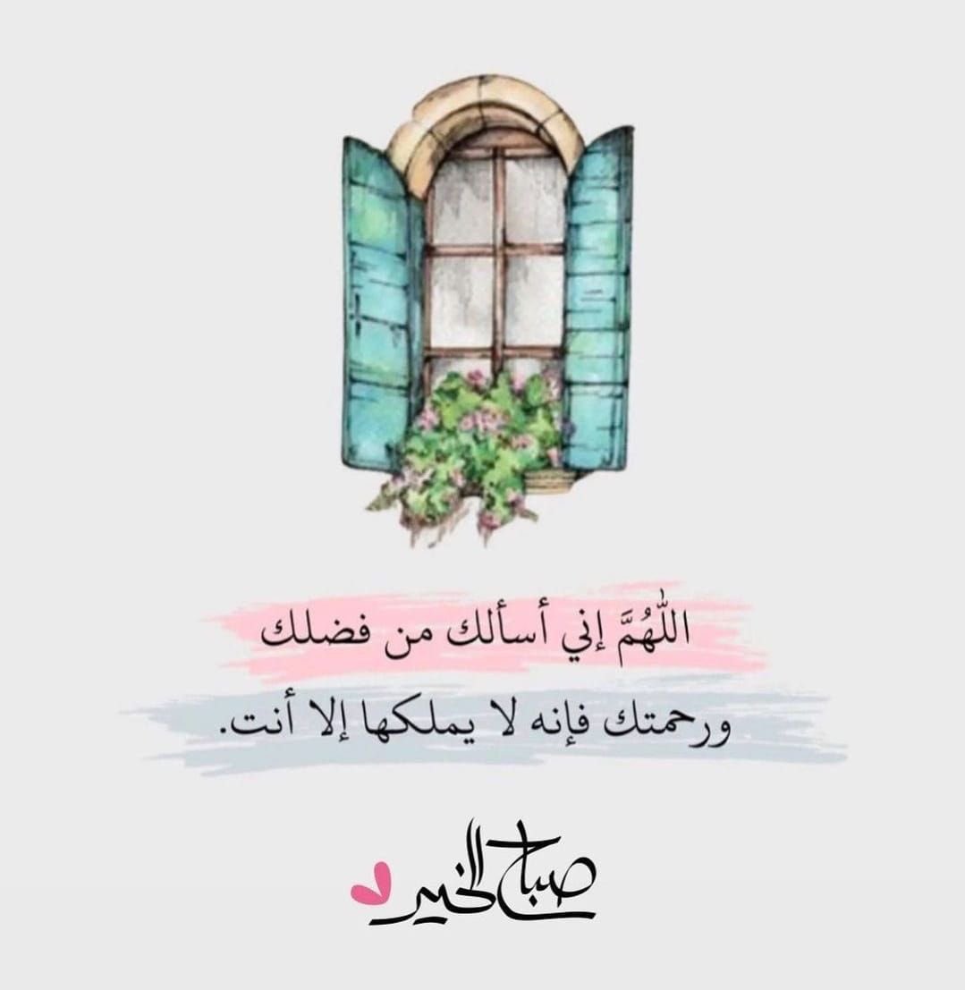 🇦🇪بشرى18 tweet media