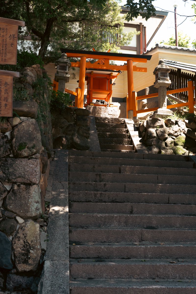 opera_yo's tweet photo. 神社の鳥居の写真撮ってたらかわいいカミサマが鎮座してた🐈最初気付かんかった。 https://t.co/rlXyefWSJ0