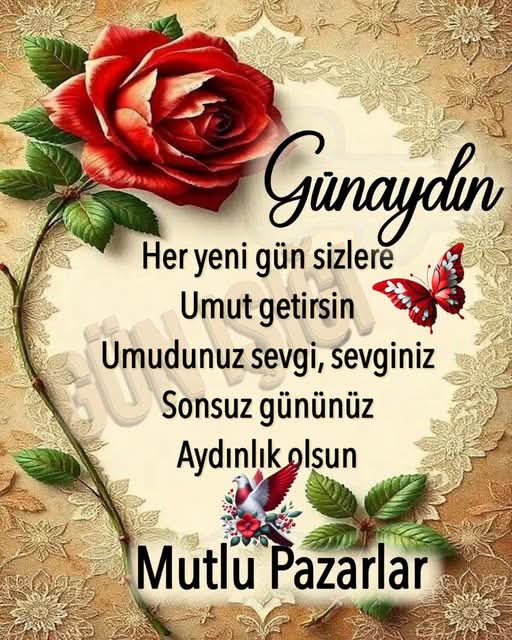 bostanci_27's tweet photo. Hayırlı Sabahlar Arkadaşlar, Sarı Kanaryalar 🙋 ☕ 💛 💙 💛 💙 💛 💙
@@BOSTANCIS27 @BostanciFb27 @Bostanci27FB 🙋 ☕ 💛 💙 💛 💙 https://t.co/4884O3ipzb