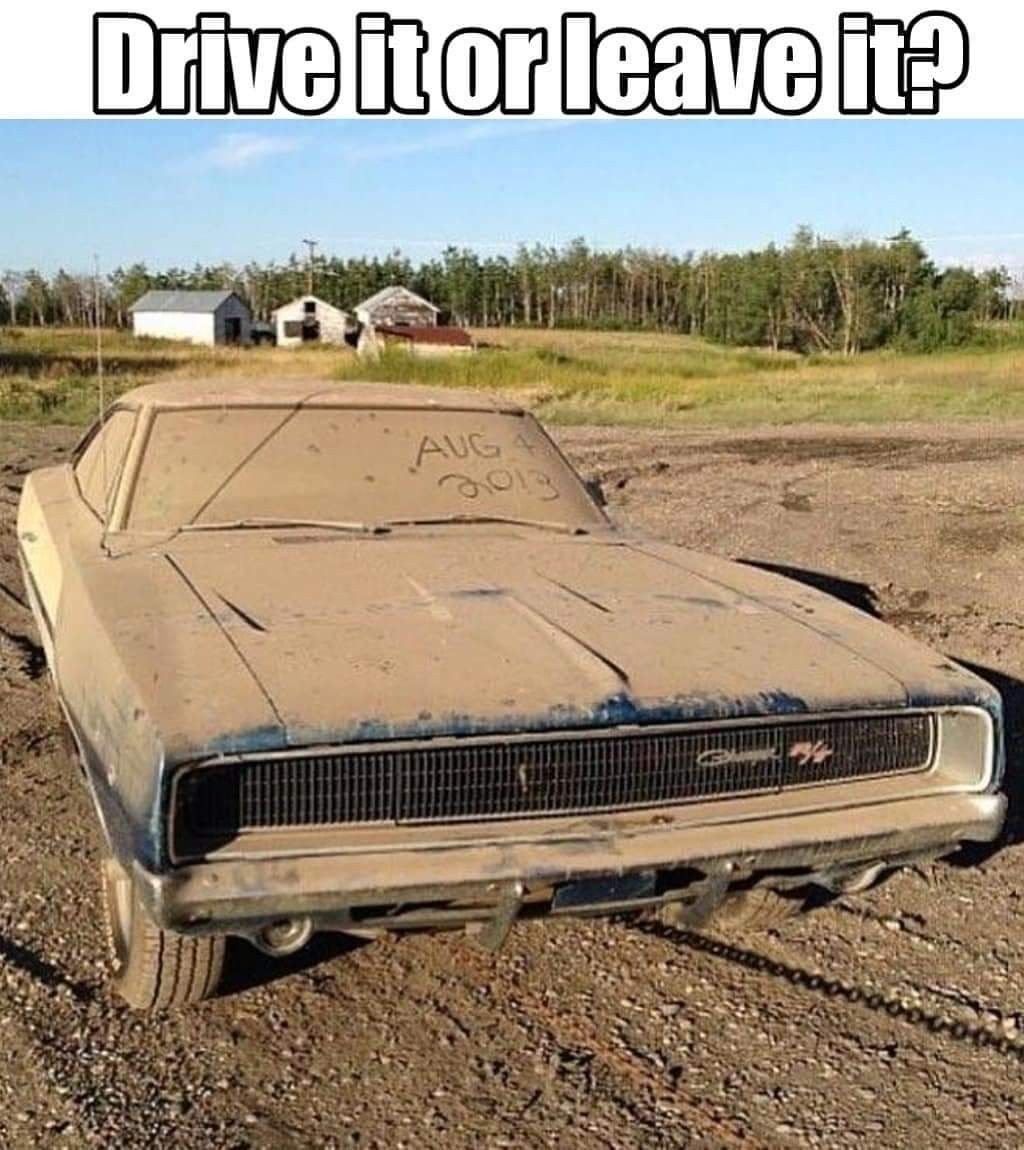 us_connie's tweet photo. Drive it or leave it? 🤔 https://t.co/DNoiPOAZHj