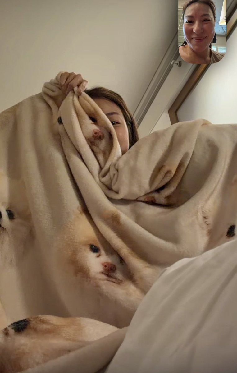 reiiitopia's tweet photo. omggggg 😭😭😭 miu is using the Toto &amp; Padi blanket that i gifted her 🥹

it’s such a small thing but my heart is so full right now 😭

knowing she received it and actually uses it means the world to me 🫶🏻 https://t.co/OIc04qLT4X