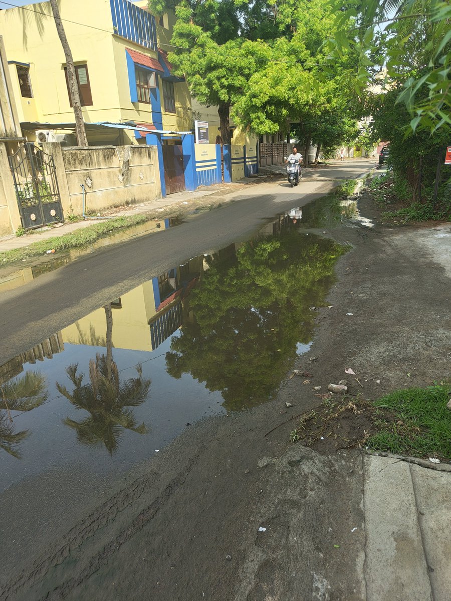 gtweetsz's tweet photo. Past 6days condition of South Street, Singarayar Colony, Narimedu, Madurai - 2. no action taken on previous complaint through Call and WhatsApp. 
@mdu_corp https://t.co/Ch6y7LpETZ